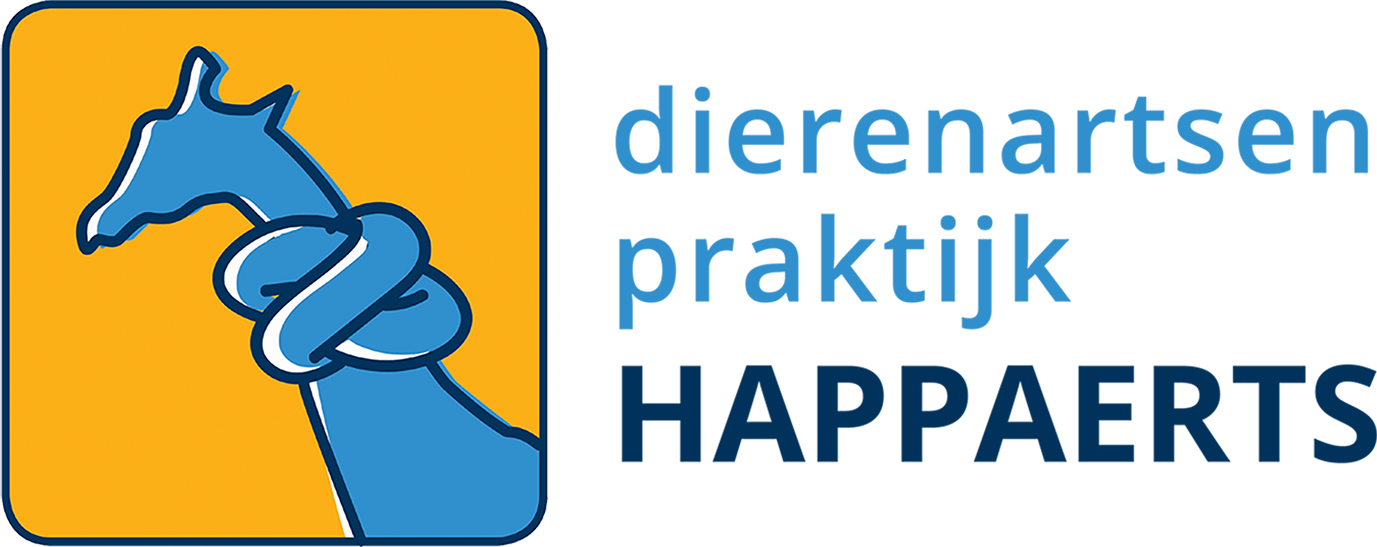 upgrade.happaerts.net